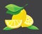 Bright lemons vector illustration