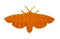 Bright light orange object in shape of butterfly toy printed on 3d printer