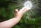 Bright light on the palm of the child. A child's hand. Photo of a small child's hand on a walk in the forest. The