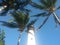 A bright lighthouse through palm trees.