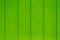 Bright lime green wooden background texture