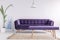 Bright living room interior with fresh plant, poster and carpet on the floor and purple couch and bench in real photo with empty w