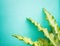 Bright long green leaves mockup against green wall bright background. Interior design, botany