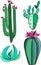 Bright lovely mexican tropical floral herbal summer green set of a cactus paint like child