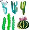 Bright lovely sophisticated mexican hawaii tropical floral herbal summer green set of a cactus paint like child vector