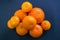 Bright mandarins are harmoniously lying on a dark blue background