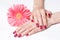 Bright manicure and pink daisy