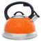 Bright metal kettle on a white background