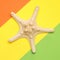 Bright minimal summer design with starfish