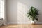 Bright minimalist room with a large green potted plant, wooden floor, and white curtains, perfect for modern home decor concepts