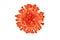 Bright model of harmful cell virus closeup isolated on a homogeneous background coronavirus covid 19 3D illustration