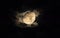 Bright moon surrounded by the silky clouds at night