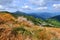 Bright morning in the Carpathian mountains. Photography with alpine grasses in the foreground