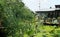 Bright morning on little cottage on the side of green Duck water weed and lotus pond in secret garden