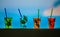 Bright multi-colored glasses of cocktails on a background of blue sea