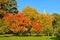 Bright multicolor autumn in Kremlin garden. Moscow,