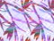 Bright multicolored botanical pattern with silhouettes of strelitzia flowers