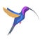 A bright multicolored hummingbird, a bird painted in several colors blue orange purple. Vector illustration isolated on