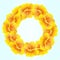 Bright Nasturtium wreath. Wild Yellow flowers. Beautifulï¿½Floral circle isolated on blue background. Vector illustration. Card