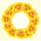 Bright Nasturtium wreath. Wild Yellow flowers. Beautifulï¿½Floral circle isolated on light background. Vector illustration. Card