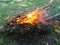 Bright orange bonfire from dry branches in a meadow