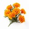 Bright Orange Carnations On White Background: Realistic Lifelike Figures In Traditional Mexican Style