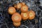 Bright Orange Cluster of Toxic Jack-o-lantern Fungi