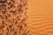 Bright orange desert sand textures and patterns for warm background and summer background