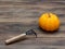 Bright orange fancy organic pumpkin with cultivator on dark wooden table background