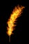 Bright orange flame feather isolated on black