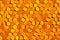 Bright orange hexagonal honeycomb tile background