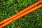 Bright orange hose two lines in green lawn running diagonal. V