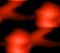 Bright orange and red spots and lines on a dark background