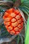 Bright orange ripe pandan tropical fruit closeup photo