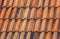 Bright orange roof tiling