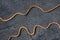 Bright orange rope lying diagonal on a texured roofing felt surface with many small cracks