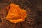 Bright orange slices of dried persimmon Hoshigaki on a textured wooden background. Closeup. View from above