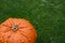 Bright orange warty pumpkin on lush green grass