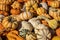 Bright orange and white gourds on display at Farmer`s Market