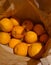 Bright oranges in a paper bag