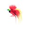Bright parrot exotic tropical bird