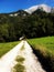 a bright path leading to a dark forest in the middle of the July Alps