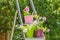 Bright petunias in multi-colored flower pots on the stepladder,