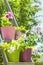 Bright petunias in multi-colored flower pots on the stepladder