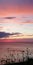 Bright picturesque contrasting background. Sea evening sunset landscape in pink, red, gold and blue tones