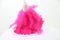 Bright Pink Feather Duster