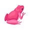 Bright pink frog, back view. Small toad with black eye, squat body and smooth skin. Flat vector for children book or