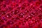 Bright pink fuchsia glitter squares sequin fabric background