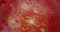 Bright Pink, Red and silver particles flowing background. Macro Abstract liquid visuals. premium, science fiction, space