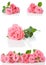 Bright pink roses, collage, isolated